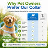 🐾 50% OFF | Natural Flea & Tick Collar for Dogs & Cats