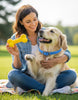 🐾 50% OFF | Natural Flea & Tick Collar for Dogs & Cats