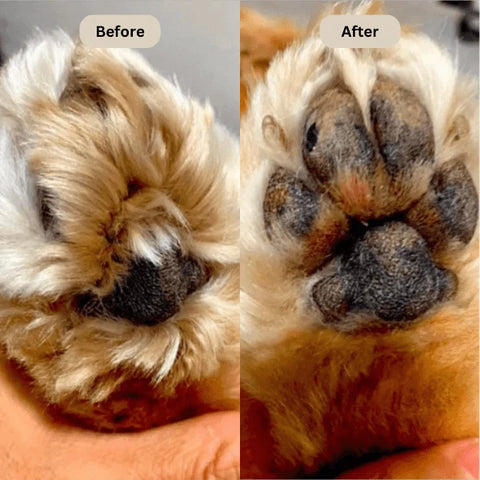 FreshPaws™ Electric Pet Paw & Face Fur Trimmer