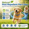 🐾 50% OFF | Natural Flea & Tick Collar for Dogs & Cats