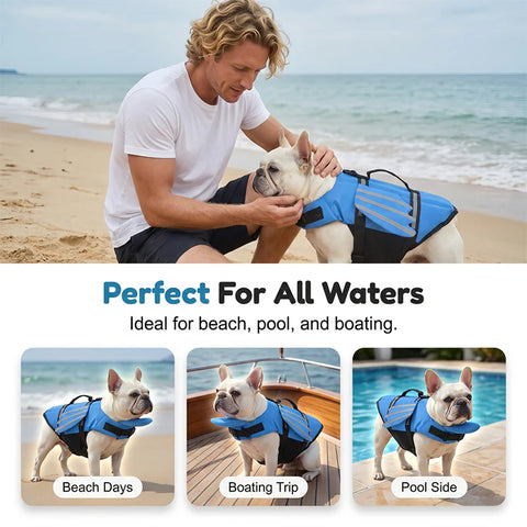 🥳 2026 HOT SALE 🐶 50% OFF | Reflective Angel Wing Dog Life Jacket